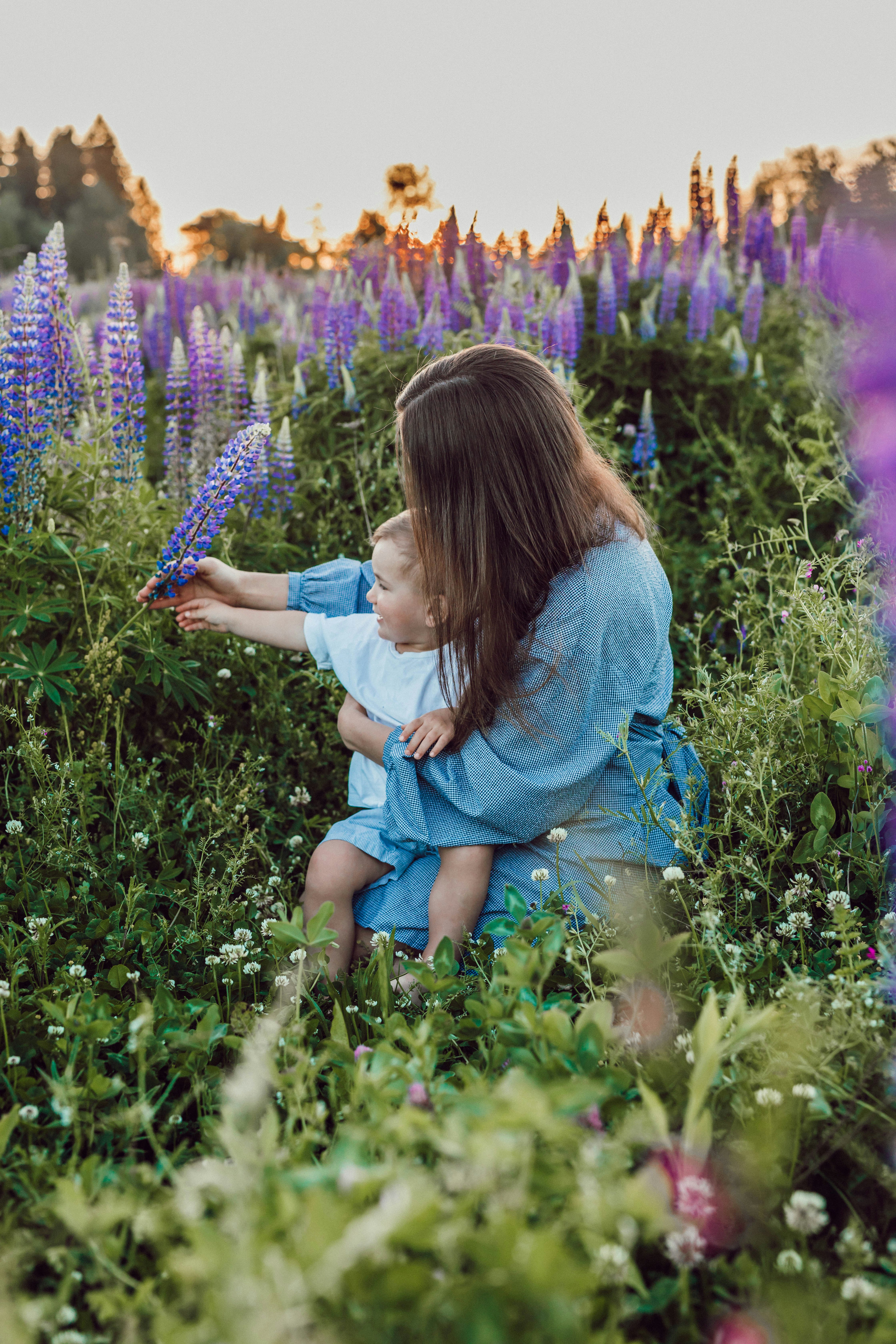 woman sitting with baby on her lap surrounded with purples flower